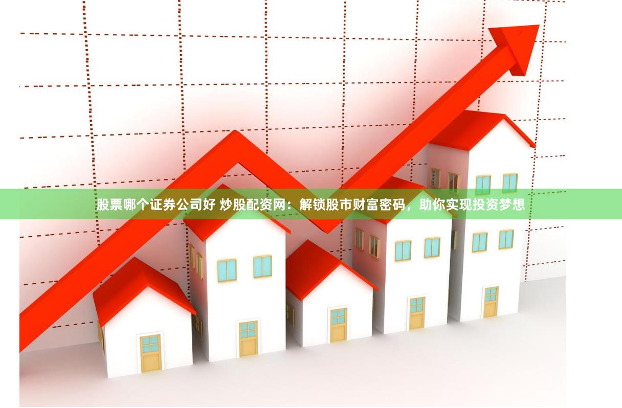 股票哪个证券公司好 炒股配资网：解锁股市财富密码，助你实现投资梦想