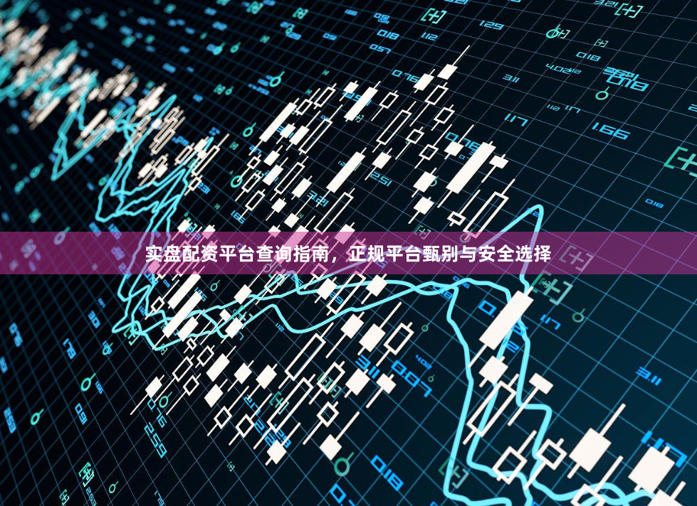 实盘配资平台查询指南，正规平台甄别与安全选择
